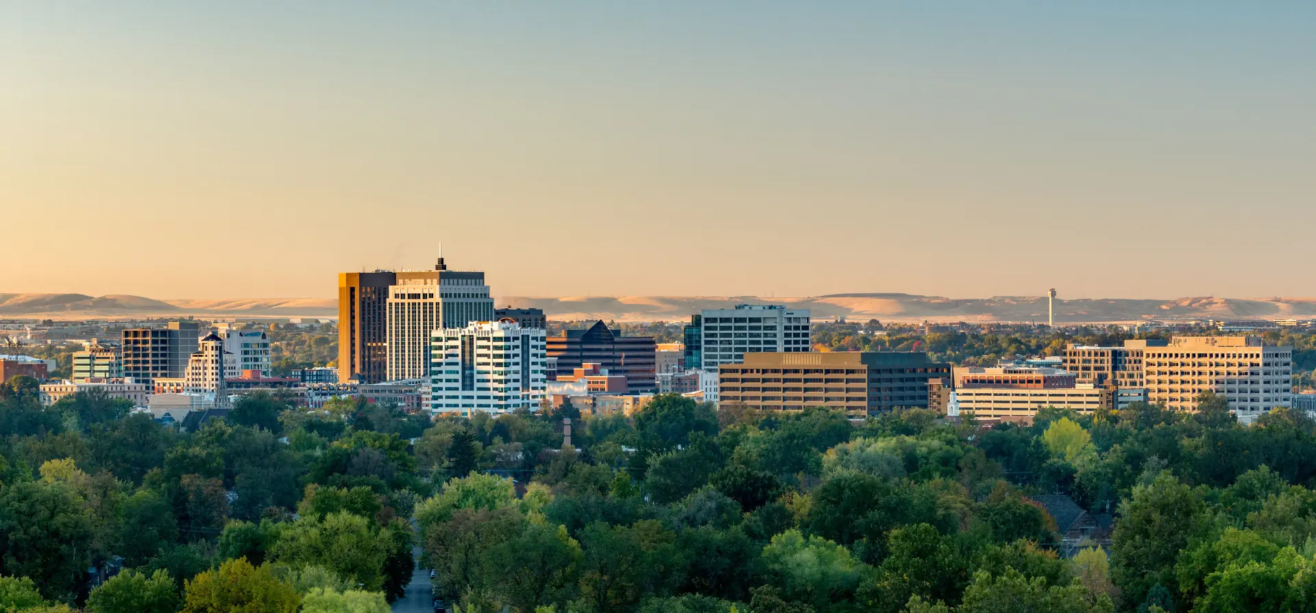 Idaho Roots
